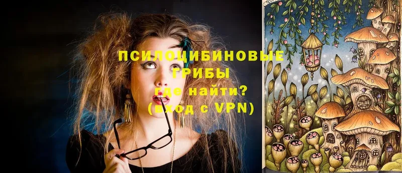 Псилоцибиновые грибы Psilocybine cubensis  что такое   Вятские Поляны 